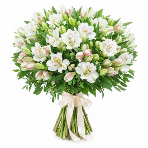 Альстромерия белая