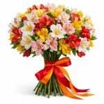 Альстромерии