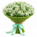 Букеты с эдельвейсами