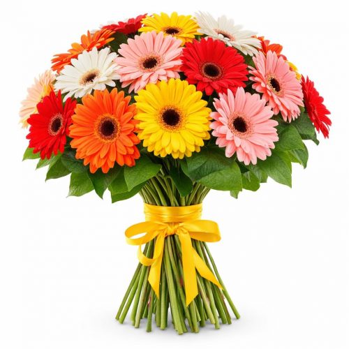 Гербера микс 1
