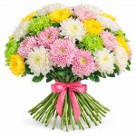 Хризантемы одноголовые