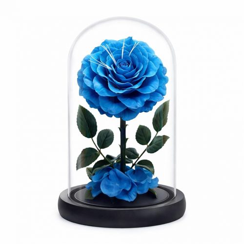 Роза в колбе голубая