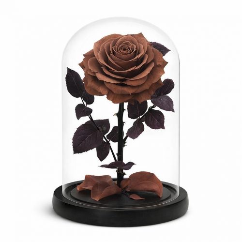 Роза в колбе коричневая