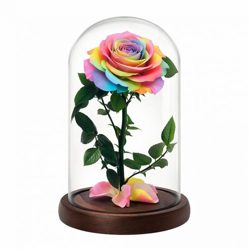 Роза в колбе радужная