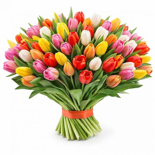 Акция! Тюльпаны 51 шт.